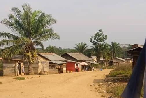 Ituri: La CRDH alerte sur les tueries de 9 agriculteurs par machette dans le village d’Idohu