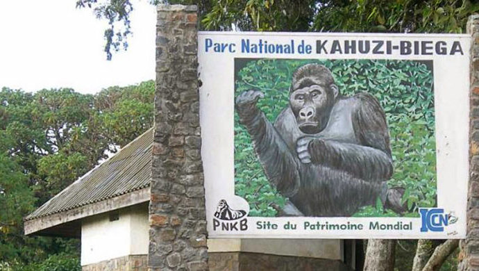 Crise sécuritaire dans l’est de la RDC : le Parc de Kahuzi-Biega menacé, un environnementaliste préconise un dialogue pour sauver ce patrimoine mondial !